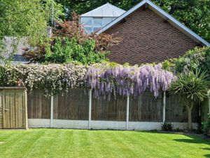 Photo 43- click for photo gallery